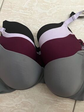 Fruit of the Loom Women’s Bra Set - Gray, Plum & Lilac